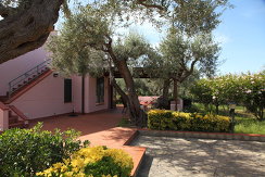 Villa Bruna - Villas in Cefalù